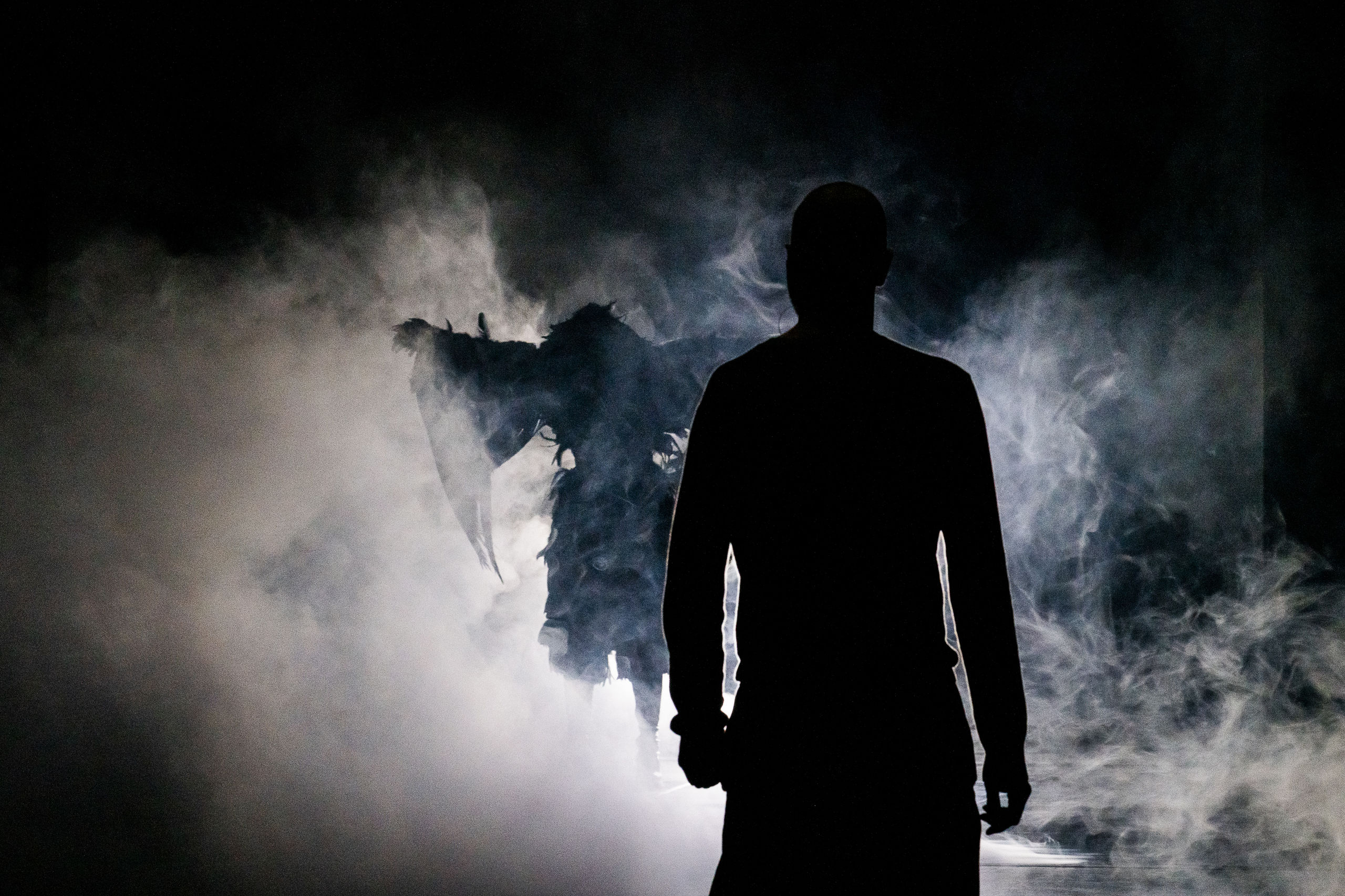 Trauer ist das Ding mit Federn