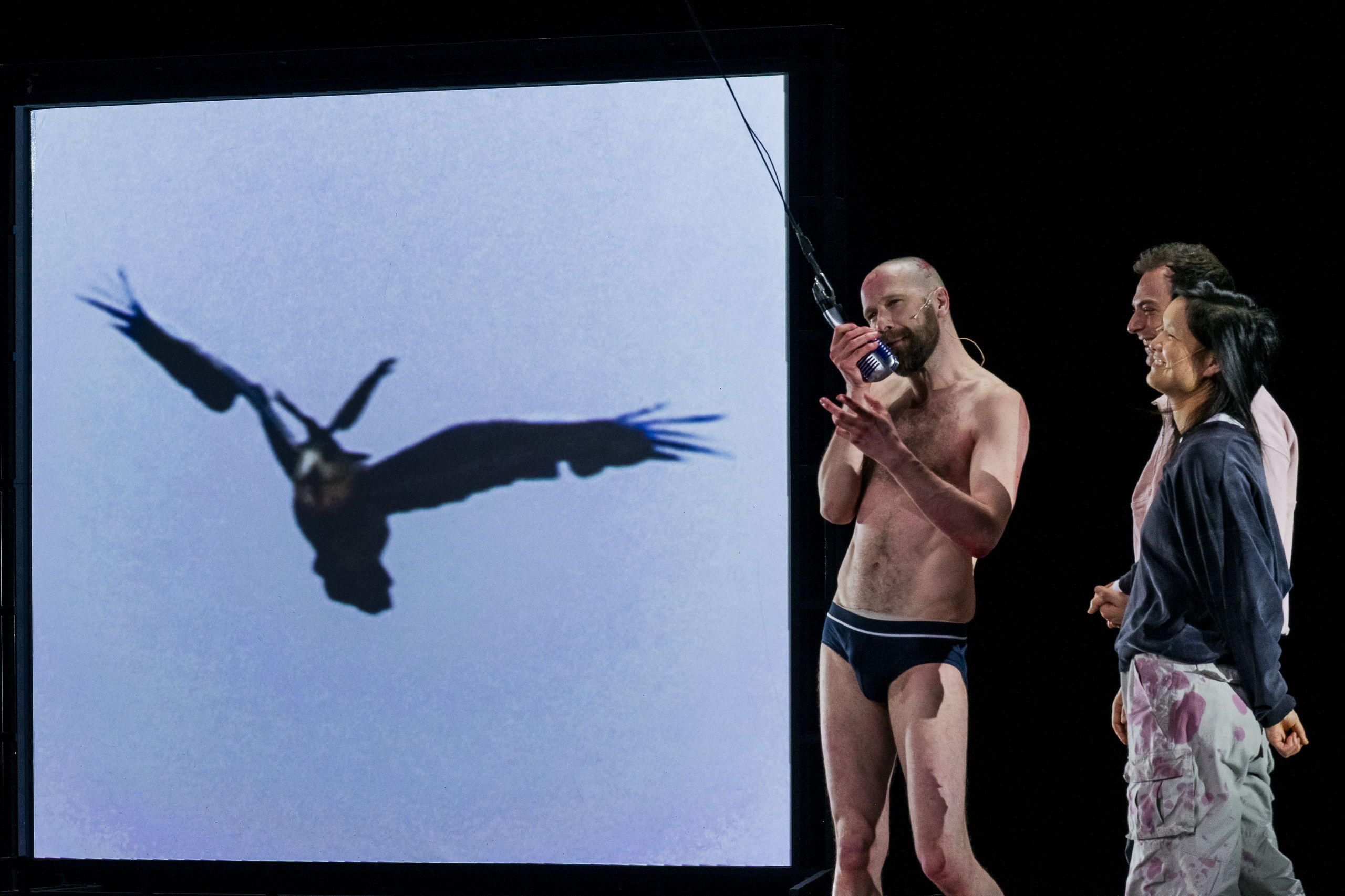 Trauer ist das Ding mit Federn